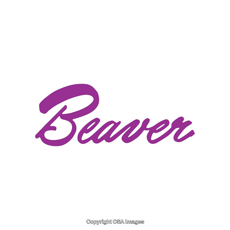 Purple Beaver Text Design on White Background for Branding and Artworks