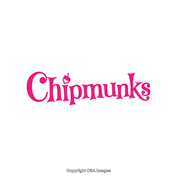 Pink Text Typography with Playful Font Design and Acorn Accent