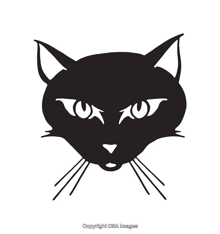 Black and White Line Art of a Cat Face with Piercing Eyes
