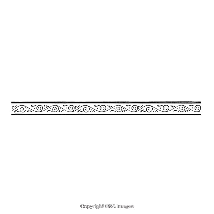 Elegant Black and White Border with Stylish Ornamental Swirl Design