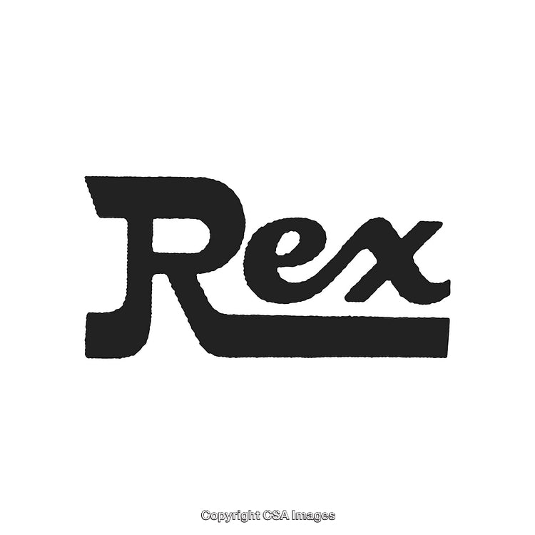 Stylized Font Design of Rex Text on White Background