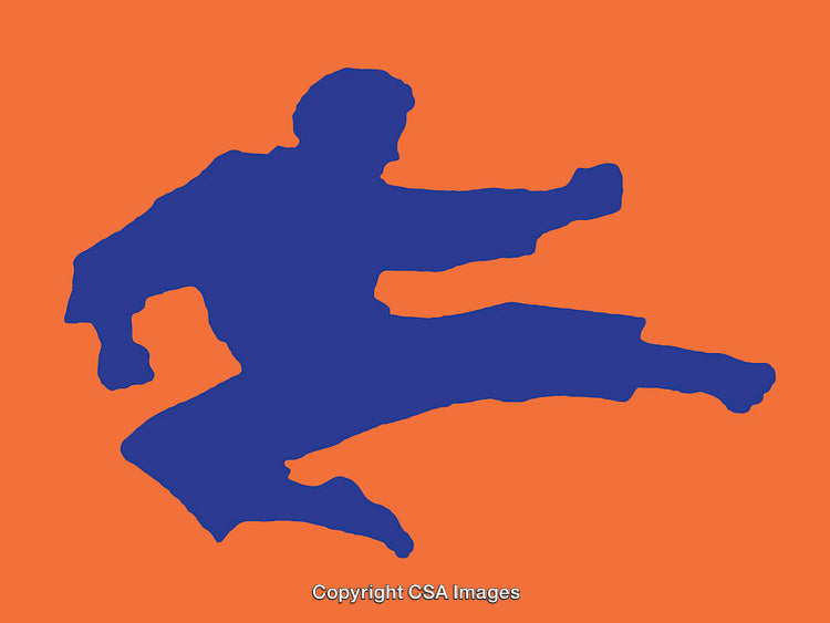 Silhouette Martial Artist Kicking Illustration on Bold Orange Background