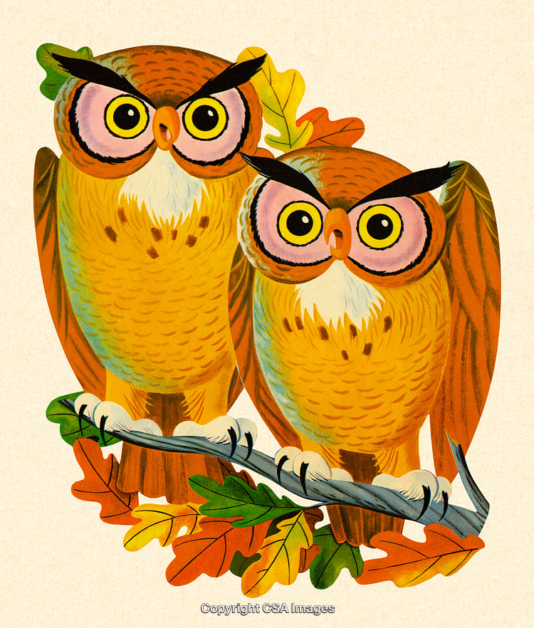Two Yellow Owls Perched on a Branch Surrounded by Autumn Leaves