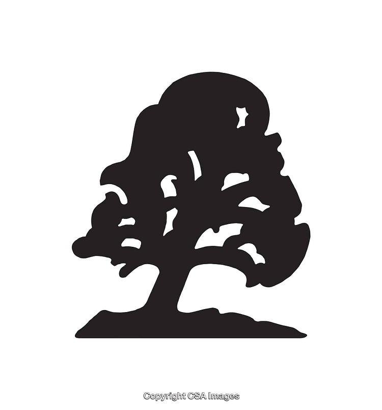 Silhouette of a Lone Tree in Black and White Style