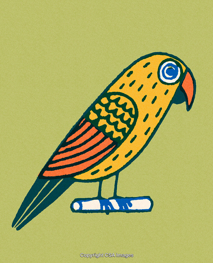 Colorful Illustration of a Parrot Perched on a Branch Against Green Background