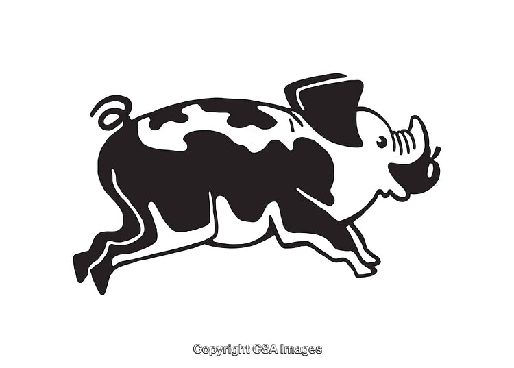 Black and White Illustration of a Running Pig in Minimalist Style