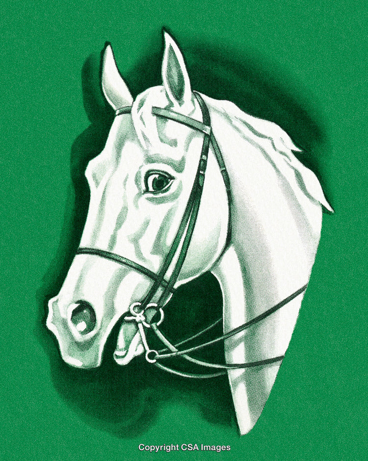 Illustrated Portrait of a White Horse Against a Green Background