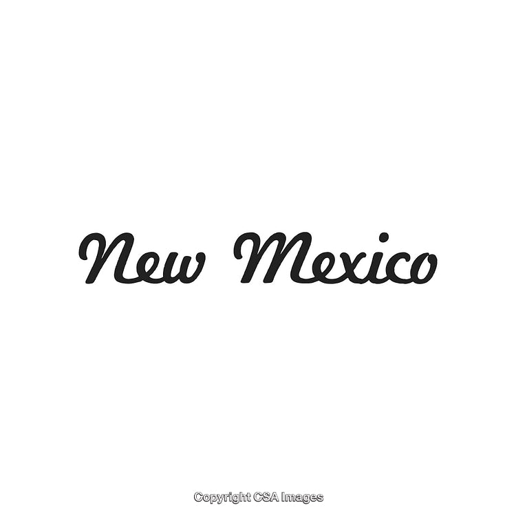 Elegant Handwritten 'New Mexico' Text in Black Script on White Background