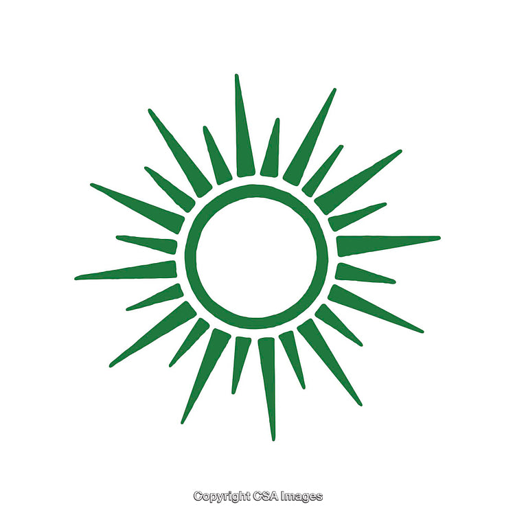 Minimalist Green Sunburst Design With a Circular Shape on White Background