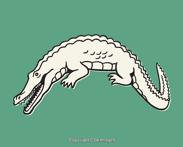 Cartoon Crocodile Illustration in Green Background Displaying Details and Style