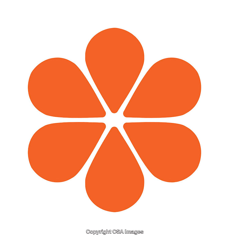 Orange Flower Icon with Simplistic Abstract Petals on White Background