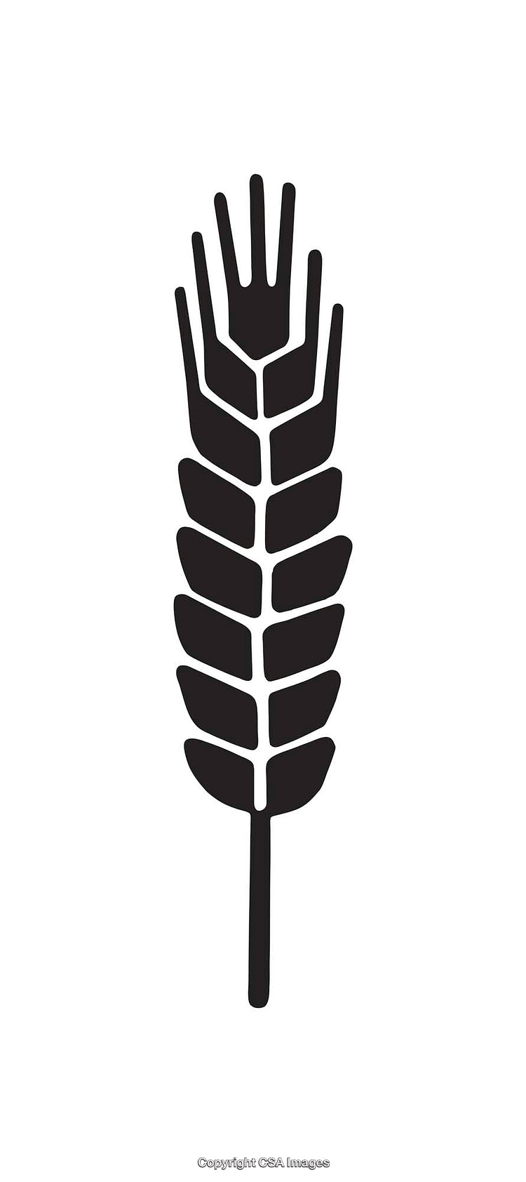 Black and White Wheat Line Art Design for Nature-Inspired Graphics