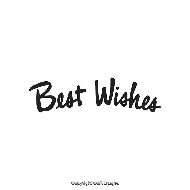Elegant Handwritten Best Wishes Text on a Minimal White Background