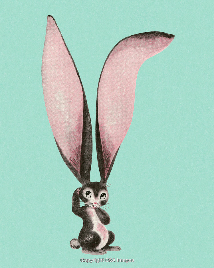 Illustrated Bunny with Pink Ears on Light Green Background