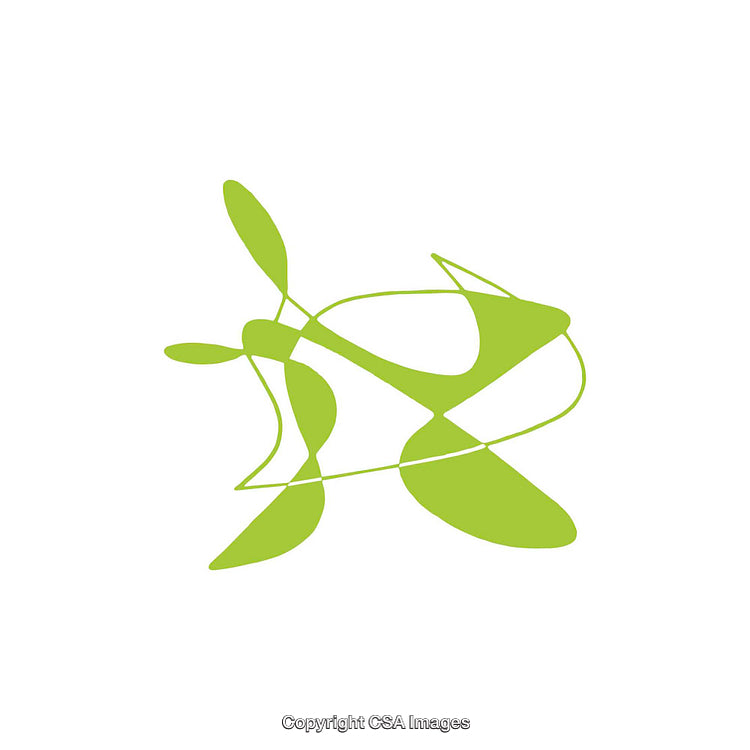 Green Abstract Dingbat Shape on White Background with Unique Design Elements