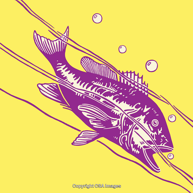Vibrant Line Art of a Fish in Underwater Movement and Bubbles