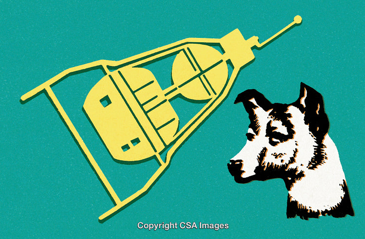 Space Satellite and a Dog
