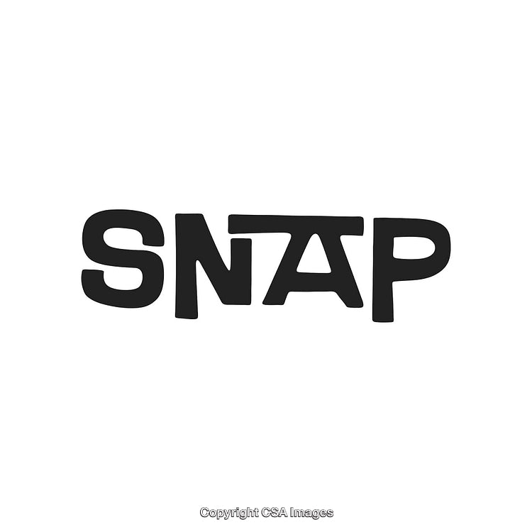 Black and White Bold Text Logo Design Featuring SNAP Style Typography