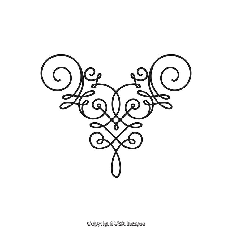 Elegant Black and White Ornamental Swirl Decorative Design Pattern