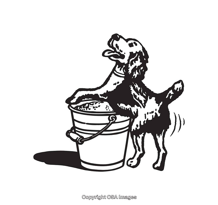 Playful Dog Wagging Tail Over Bucket in Black and White Line Art