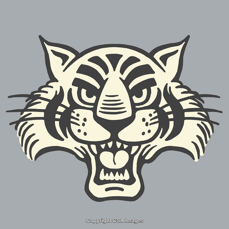 Vibrant Line Art Illustration of a Roaring Tiger Face on Gray Background