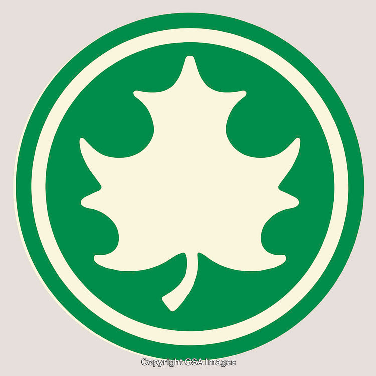 Leaf Symbol in Green Circular Badge Line Art Illustration