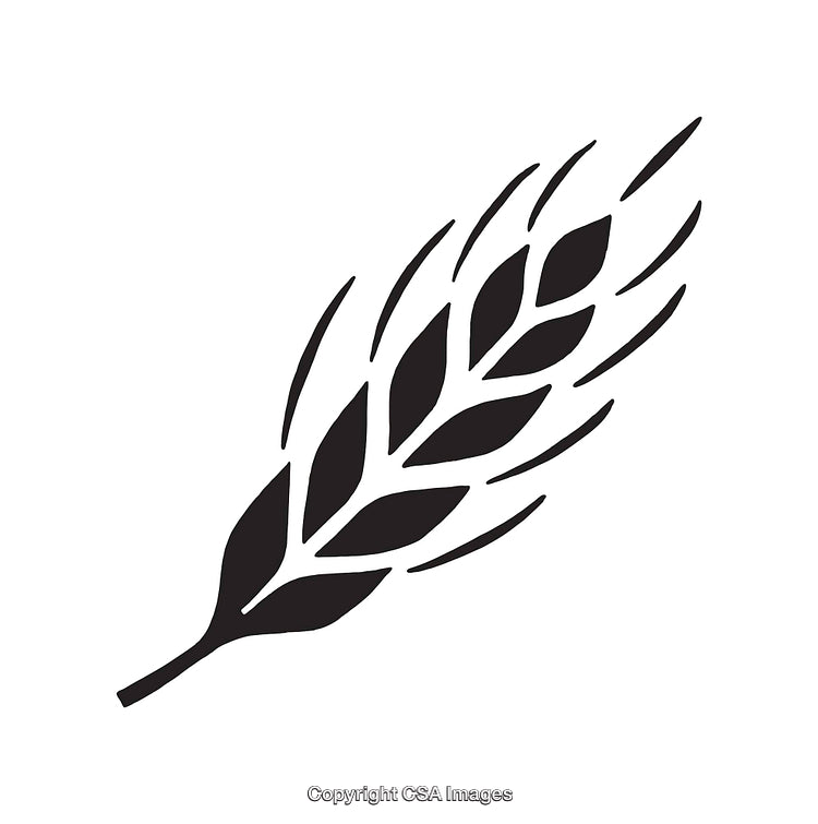 Black and White Illustration of a Simple Wheat Ear Design