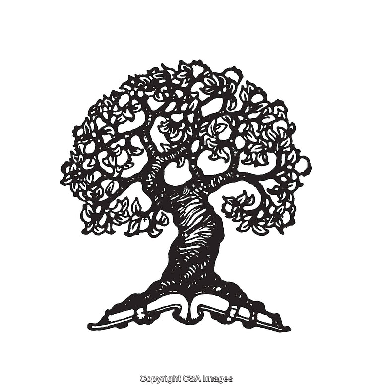 Intricate Black and White Line Art Illustration of a Flourishing Tree