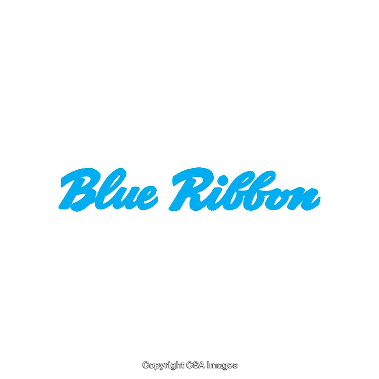 Blue Ribbon Text Logo in Bold Cursive Typeface on White Background