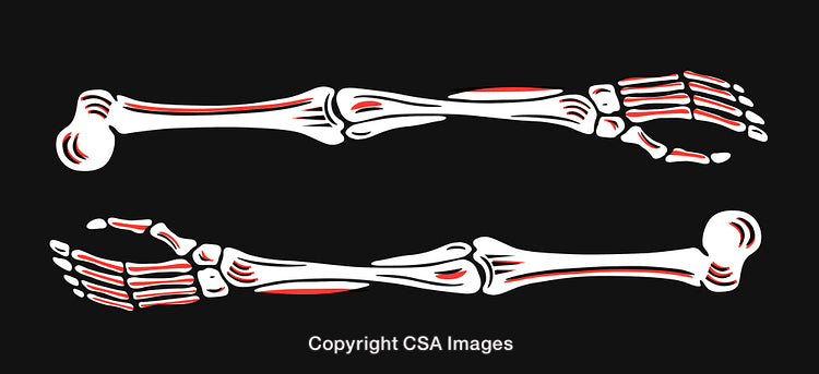 Detailed Illustration of Human Arm Skeletal Anatomy on Black Background