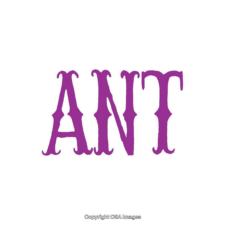 Purple Text Graphic Spelling 'ANT' With Bold Typeface on White Background