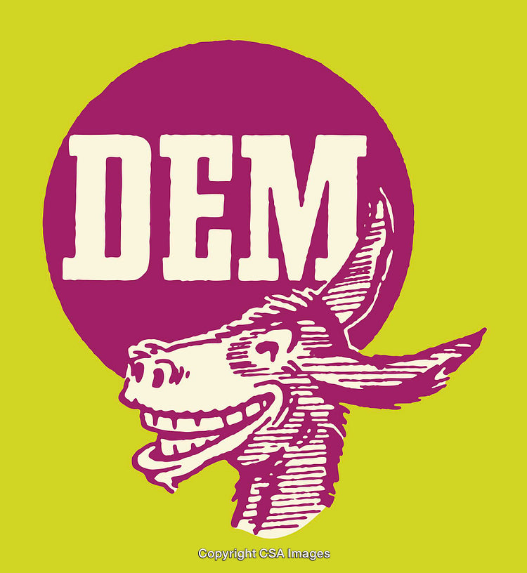 Retro Style Donkey Illustration With Bold Text On Vibrant Background