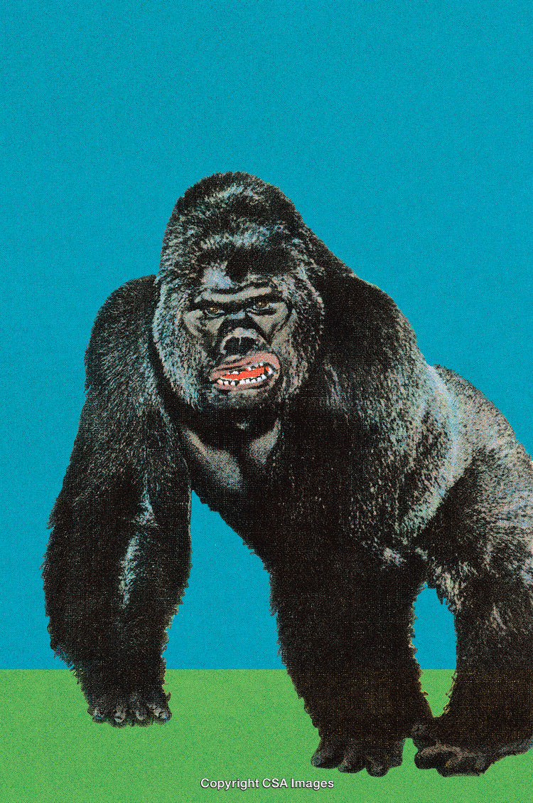 Vivid Artwork of a Majestic Gorilla Against a Minimalist Background