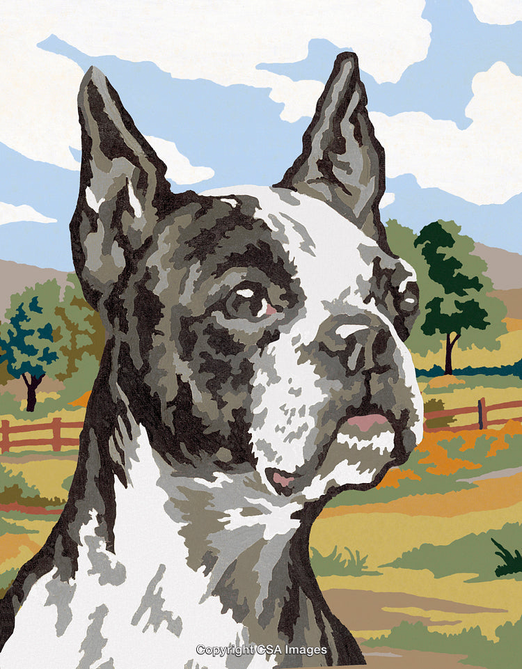 Stylized Illustration of a Boston Terrier in a Paint-by-Numbers Style Setting