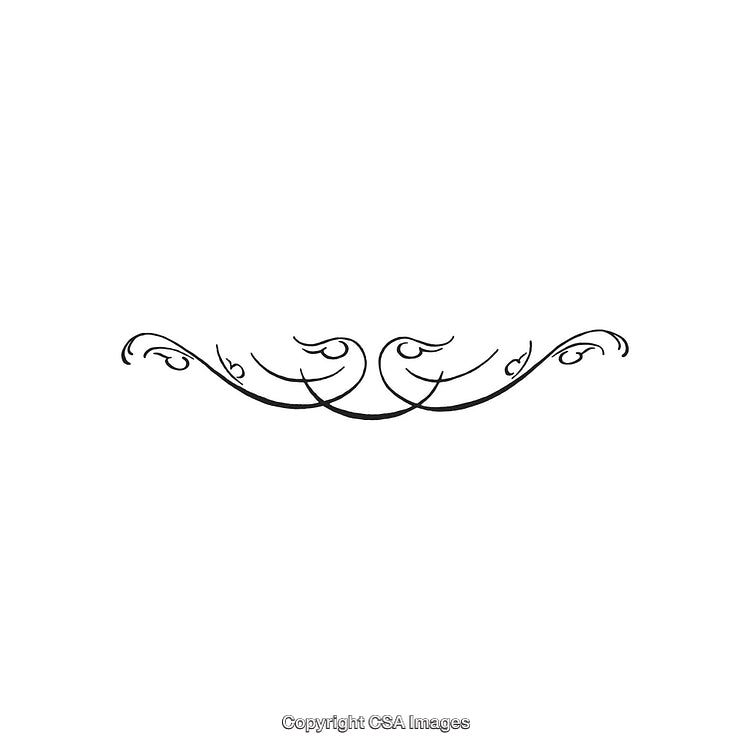 Elegant Black and White Decorative Flourish Design Ornament Illustration