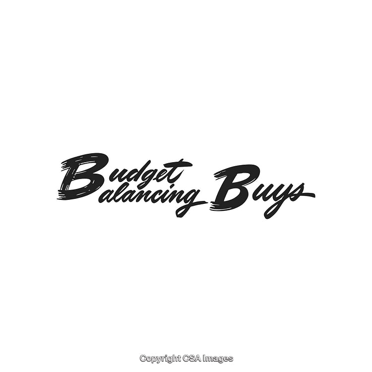 Stylish Typography Logo Displaying Budget Balancing Buys Text Design