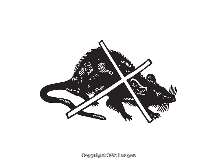 Black and White Line Art of a Rat With Crossed Lines