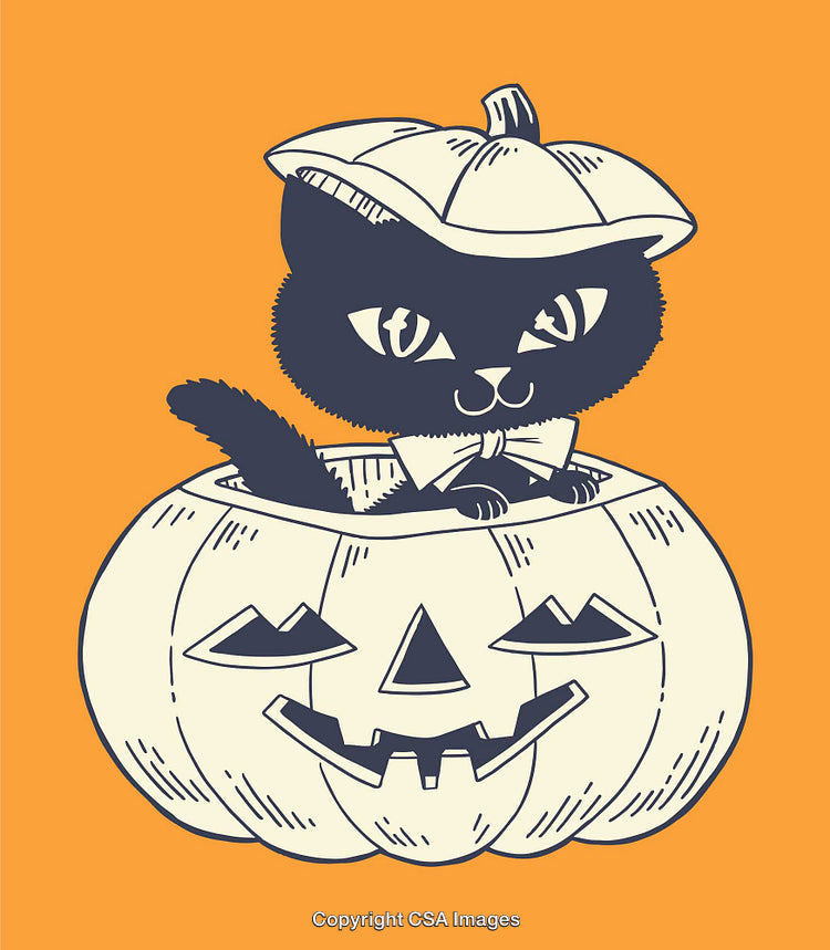 Adorable Black Cat in Pumpkin Illustration Perfect for Halloween Themes
