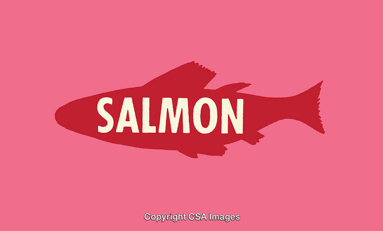 Salmon Illustration Silhouette with Bold Text and Pink Background