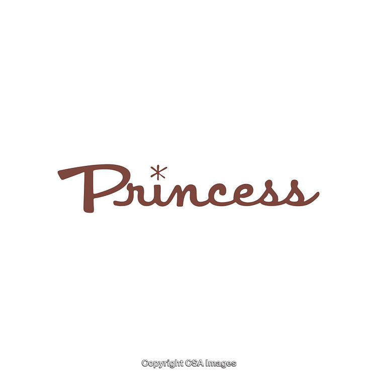 Stylized Brown Text Logo of the Word 'Princess' on a White Background