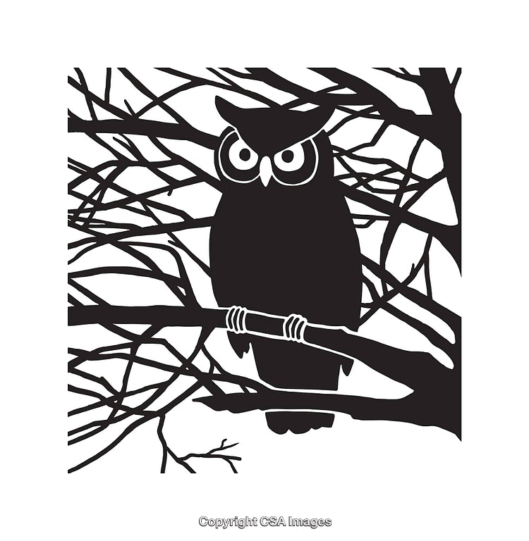 Black-and-White Owl Line Art Illustration Amid Tree Branches