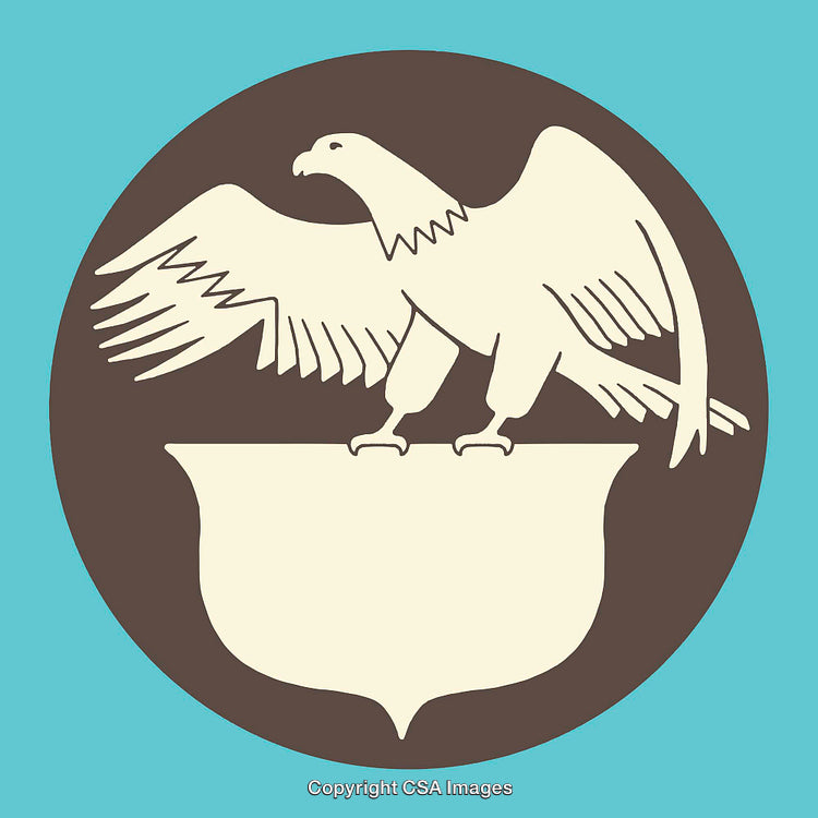 Minimalist Eagle Illustration with Crest on Blue and Brown Background