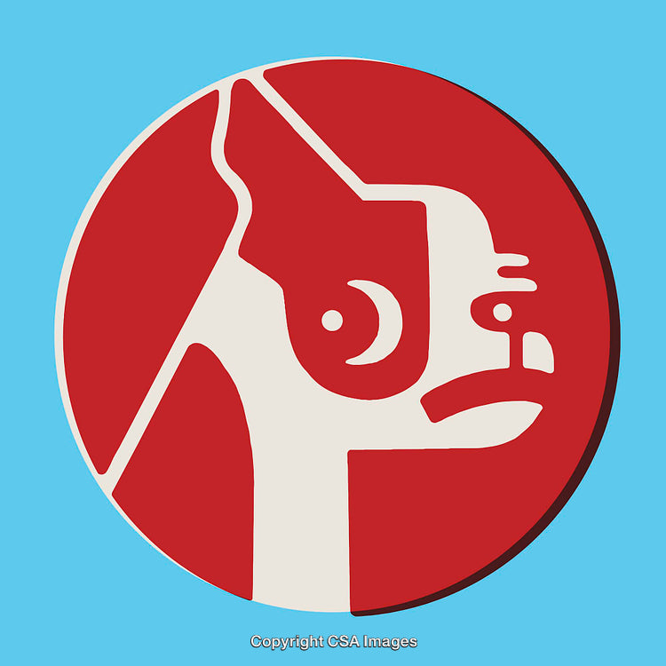 Modern Abstract Line Art Illustration of a Bulldog in Bold Colors