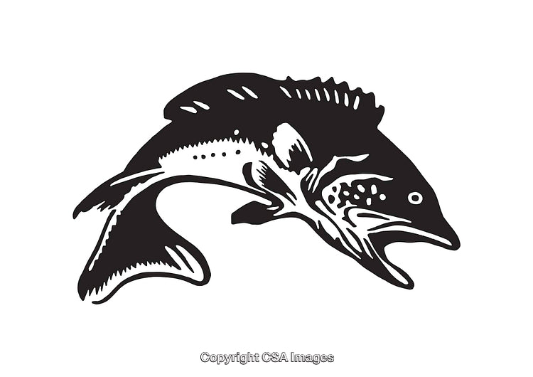 Black and White Line Art Illustration of a Leaping Fish