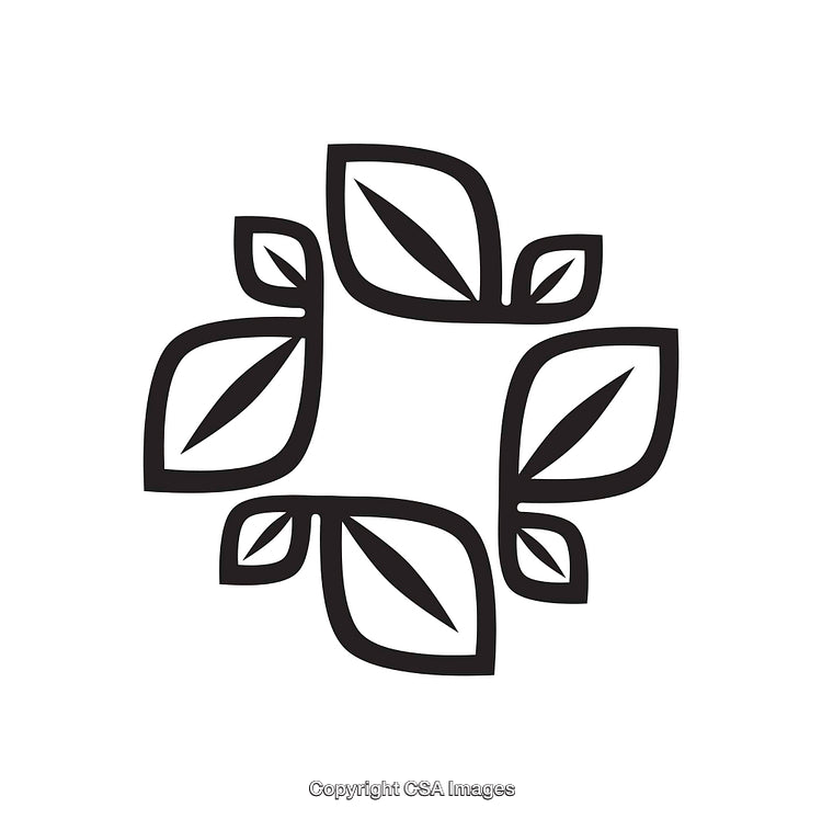 Black and White Minimalist Line Art of Symmetrical Leaf Pattern