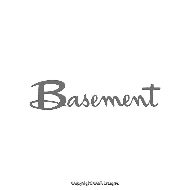 Stylized Gray Script Logo Featuring the Word 'Basement' on White Background