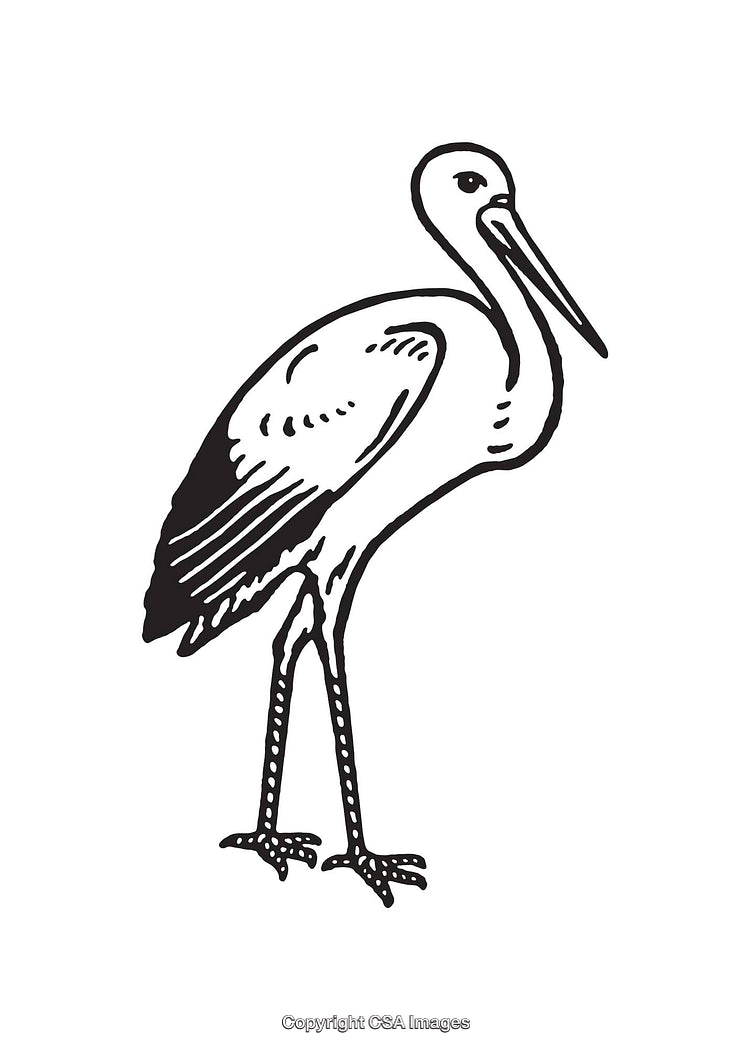Black and White Line Art Illustration of a Graceful Stork