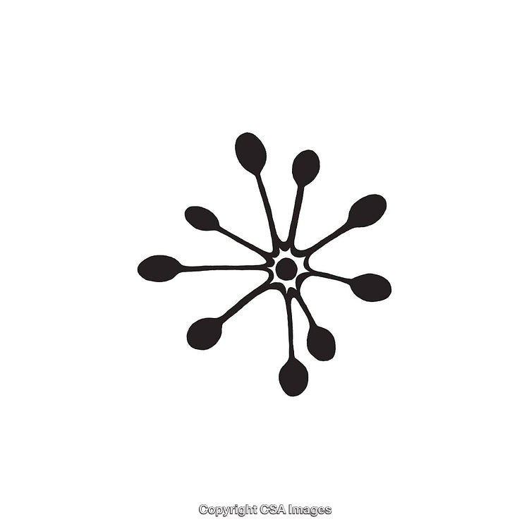 Abstract Black and White Dingbat with Radial Design