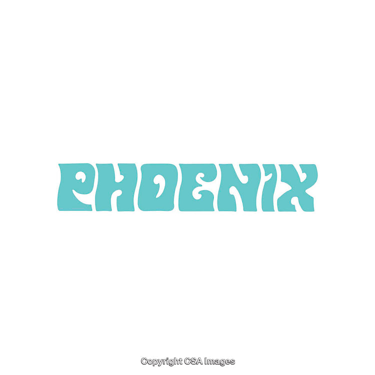 Stylized Turquoise Phoenix Text Art on a Clean White Background