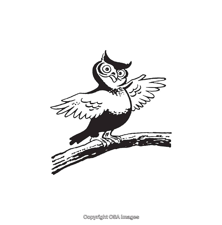 Illustration of a Cheerful Owl Perched on a Branch Spreading Its Wings